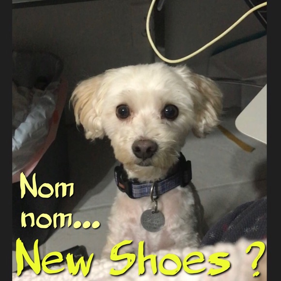 Don't be Afraid to Make an OFFER ! 🖤🖤 - Picture 4 of 8